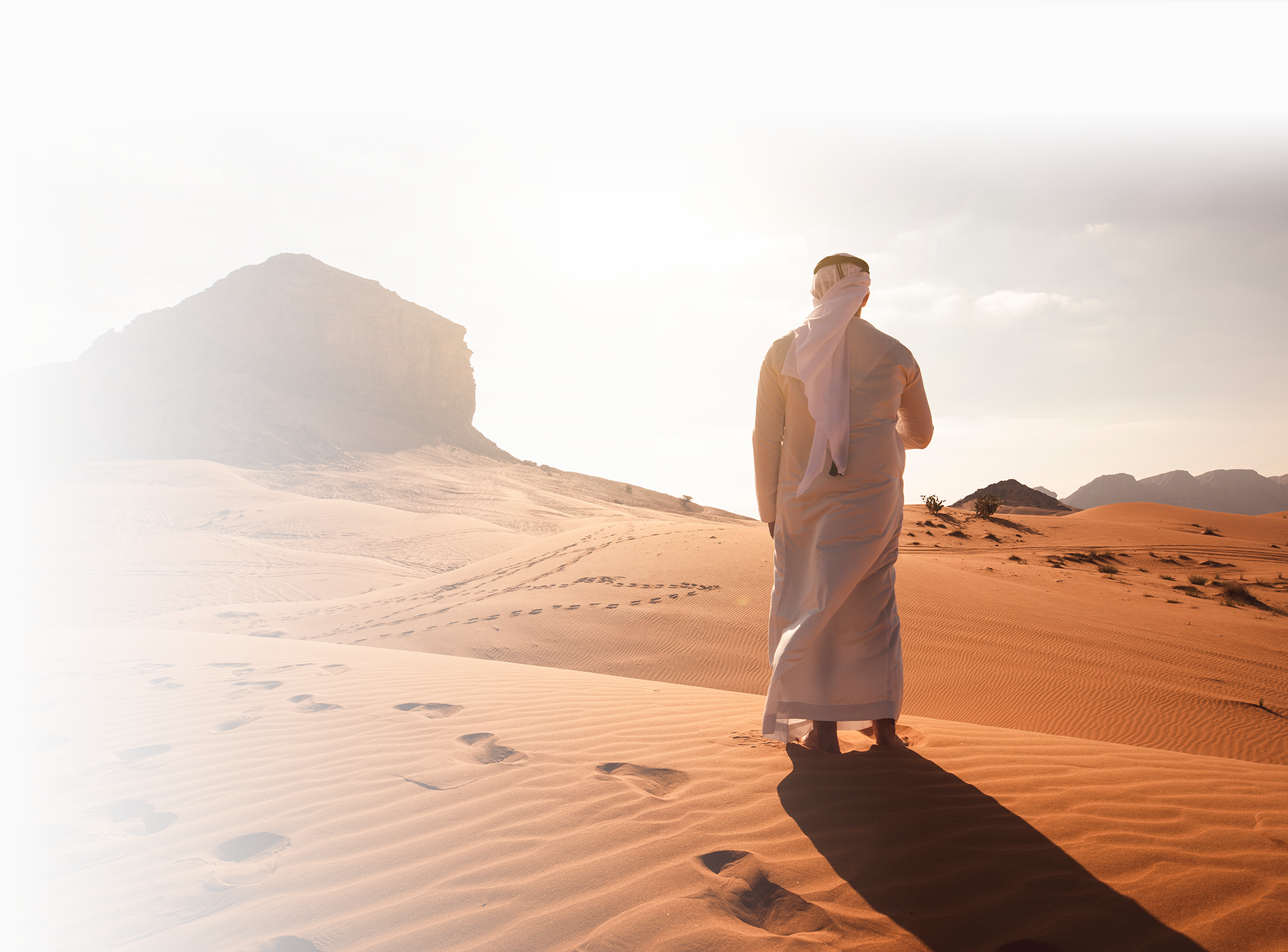 obtain your emirates id with wwfl